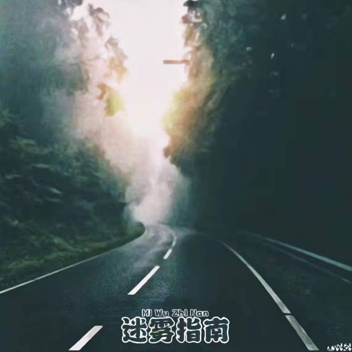 警惕7777788888王中王最新版既6肖十八吗伪宣传陷阱，专家解析与落实指南，远离欺骗迷雾