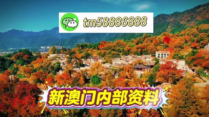 新澳门2026，多元发展新机遇与风险防范并重—专家解析政策落实与三中三伪宣传陷阱