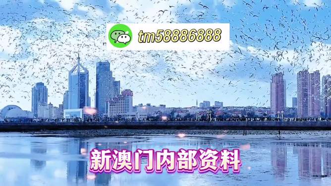 新澳门2026，多元发展新机遇与风险防范并重—专家解析政策落实与三中三伪宣传陷阱